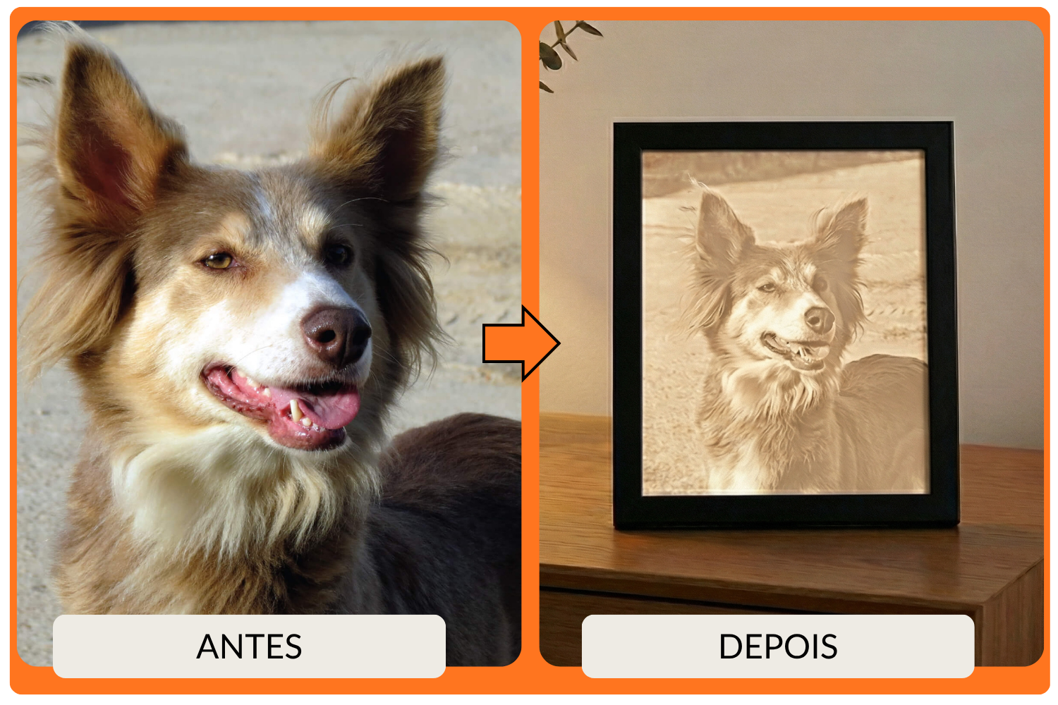 Cão de estimação transformado em MemoLight